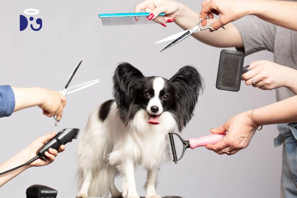 1. Grooming: Keeping Your Pet Clean and Comfortable